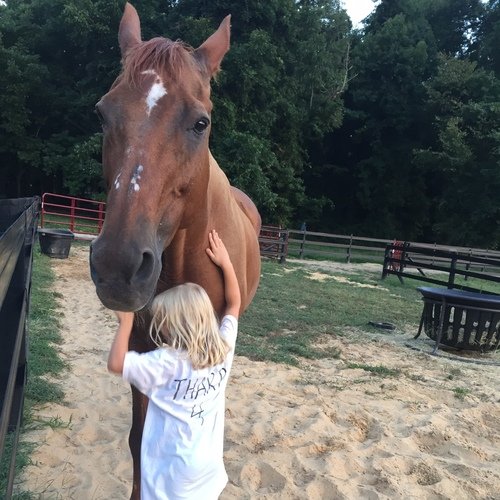 Horse Alex getting a hug from a little girl