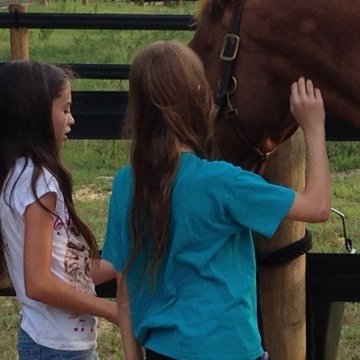 Two girls petting horse Alex