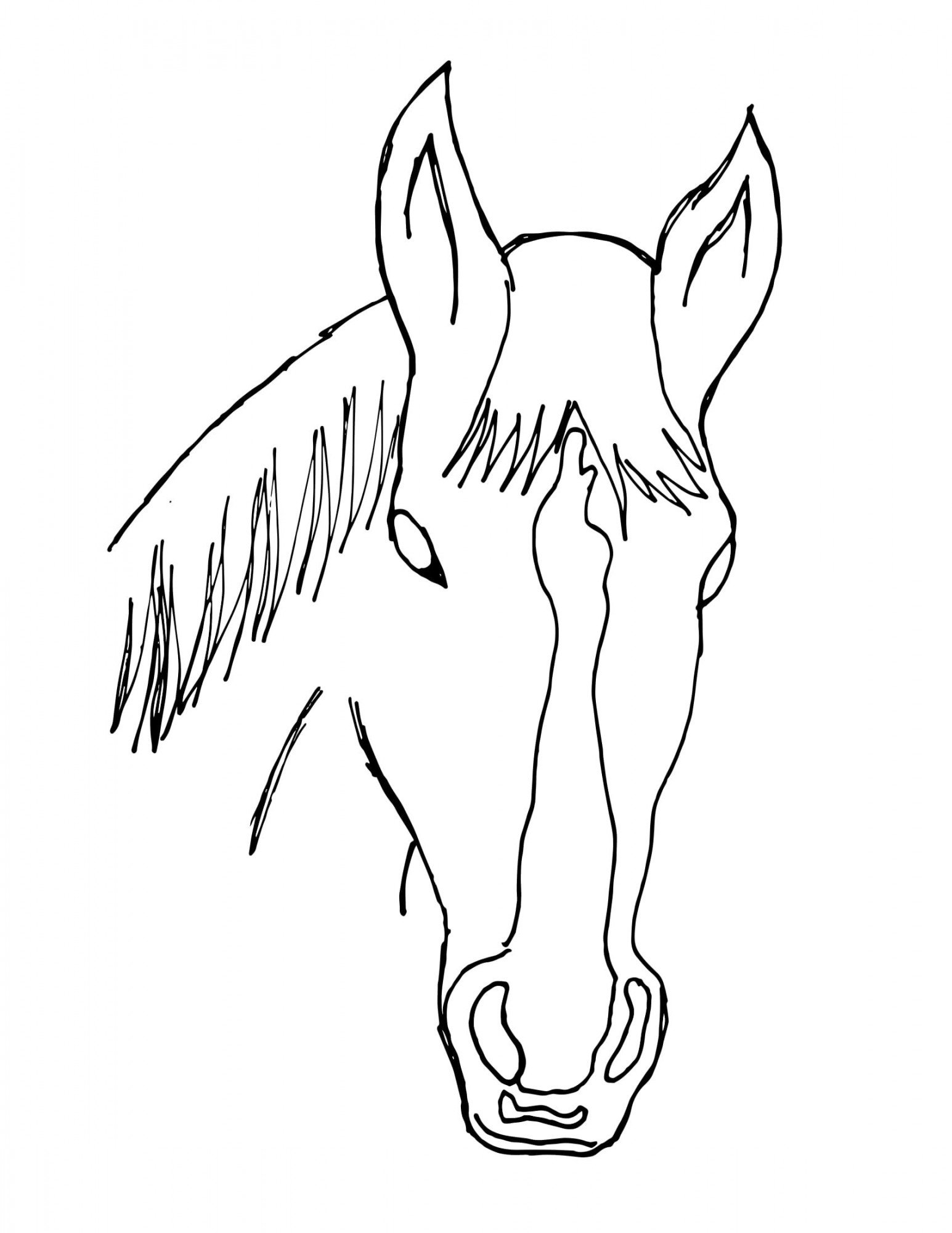 Horse Ali - black and white outline for coloring