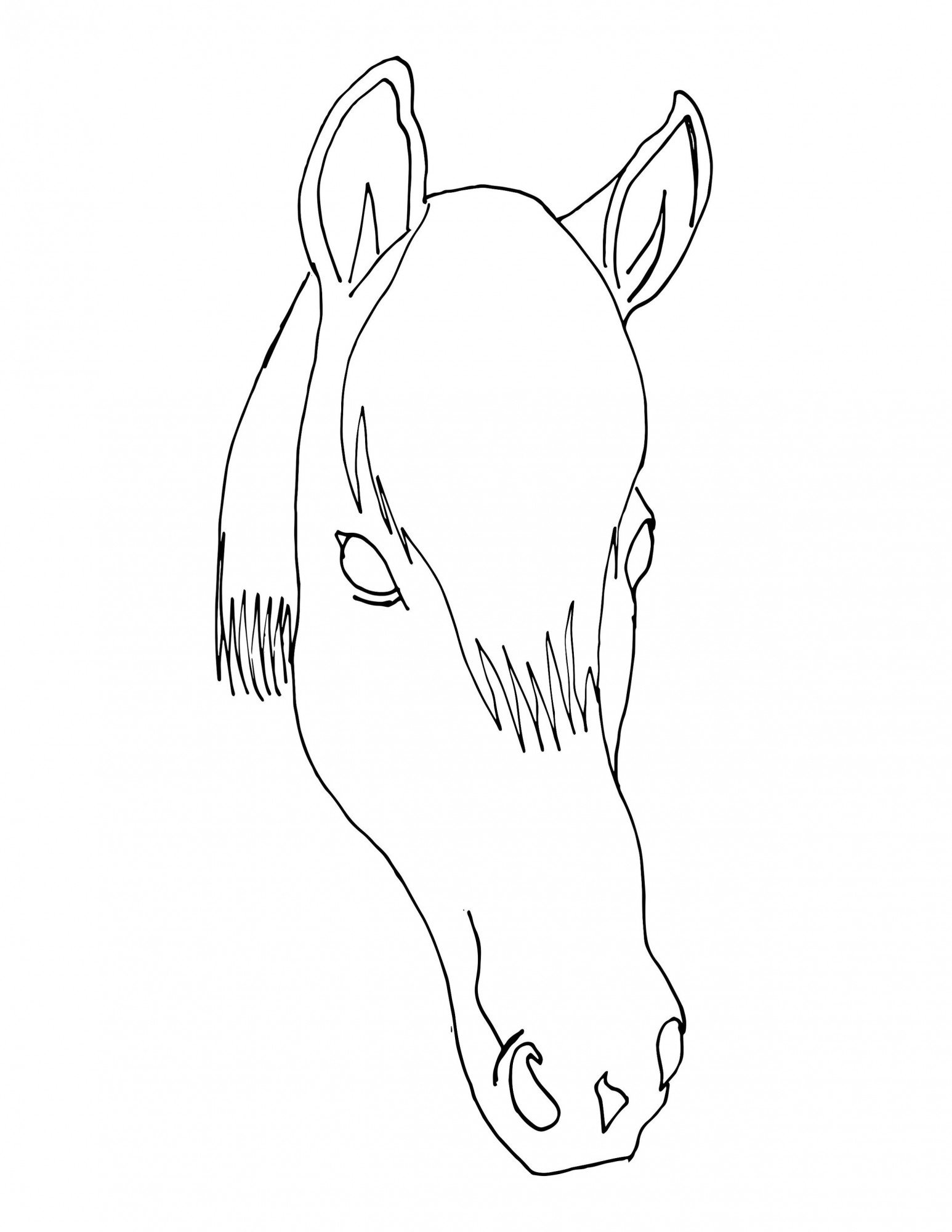 Horse "Bear" - black and white outline for coloring