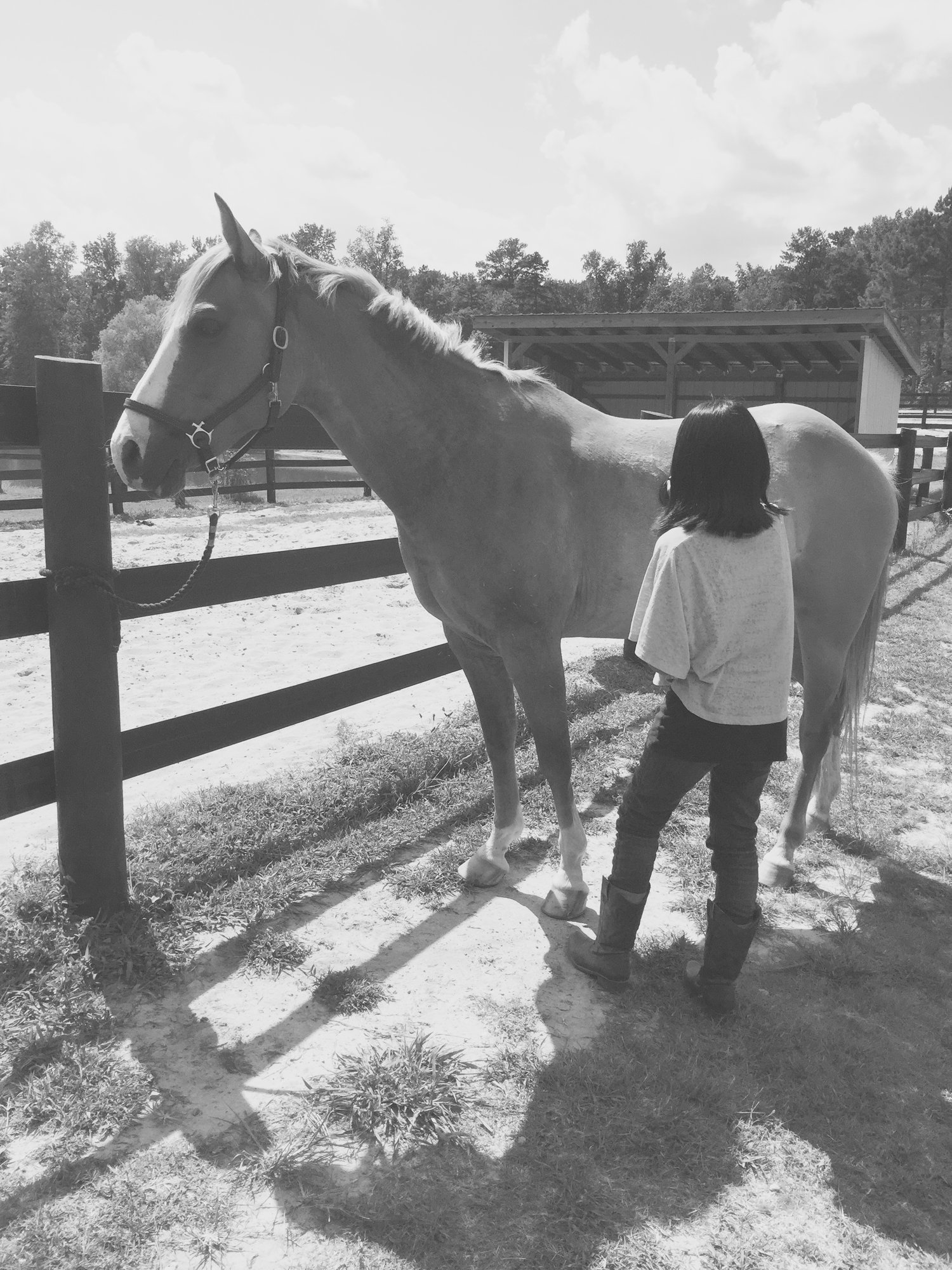 black and white picture of a child brushing a horse
