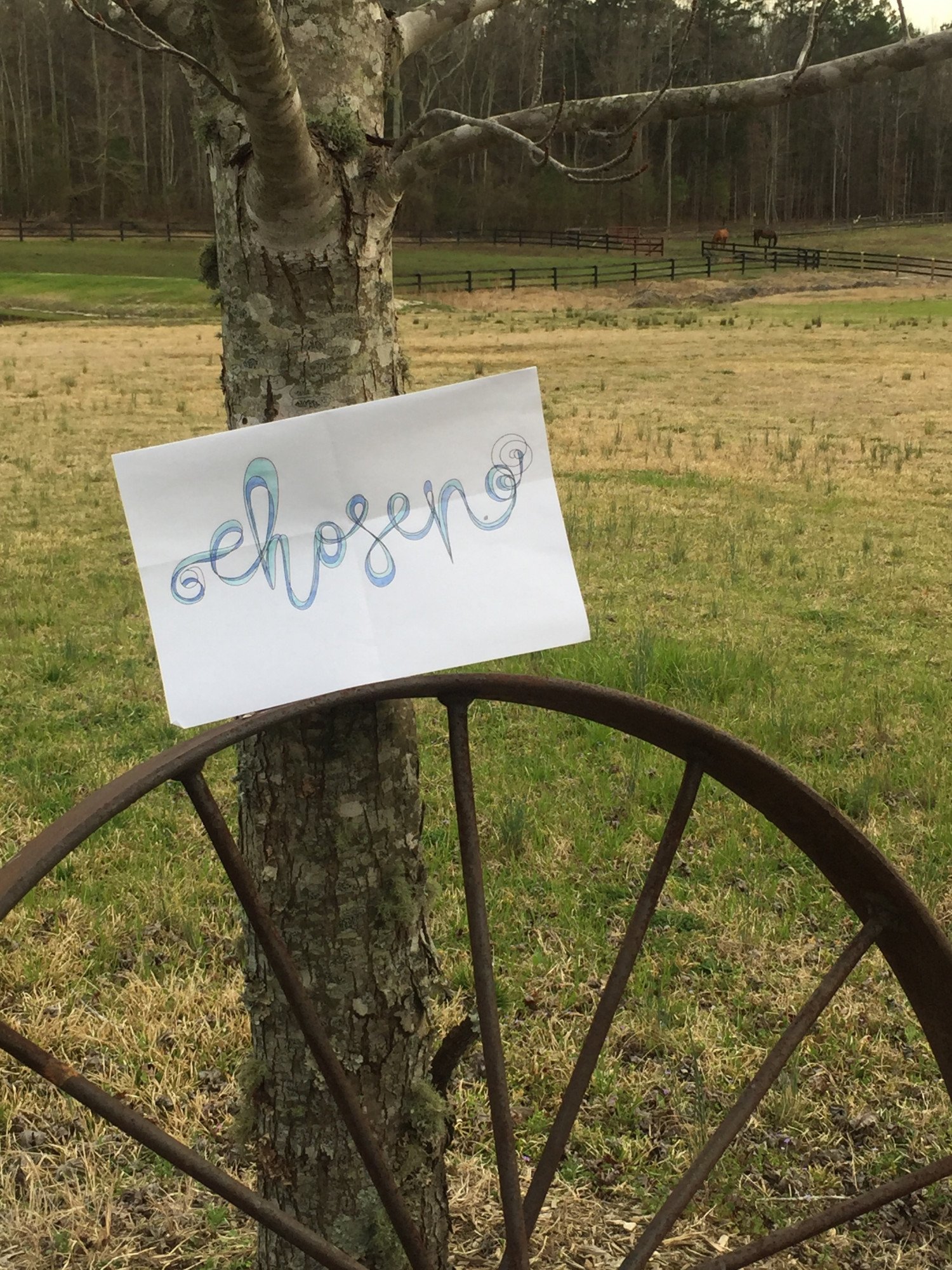 Sign that says "chosen" propped up on an antique wheel by a tree 