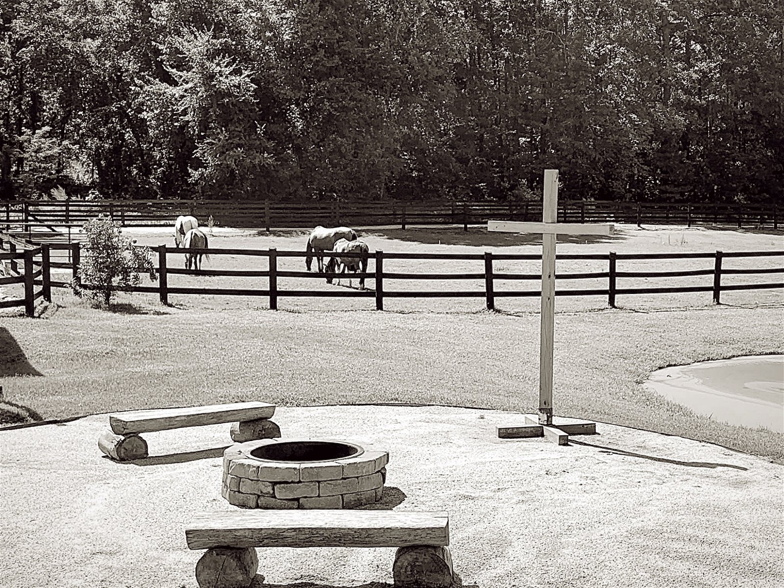 Black and white picture of a sweet outdoor chapel area with a cross; horses in the background