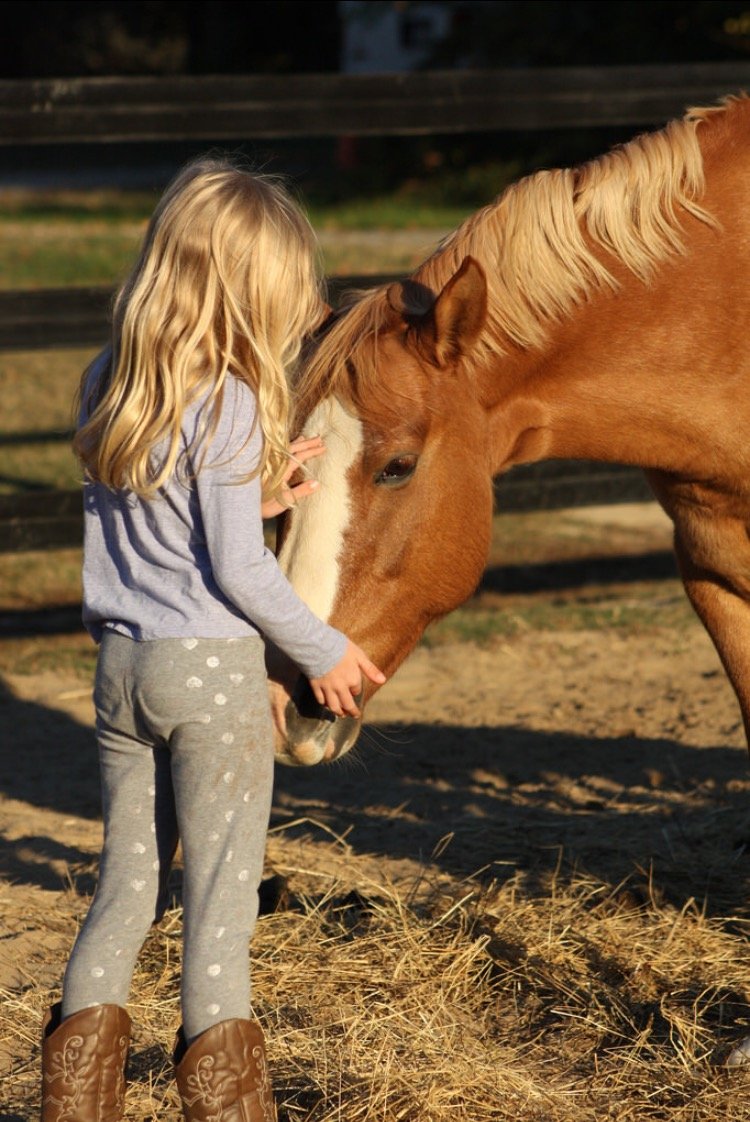 Girl petting horse's head in the sunlight