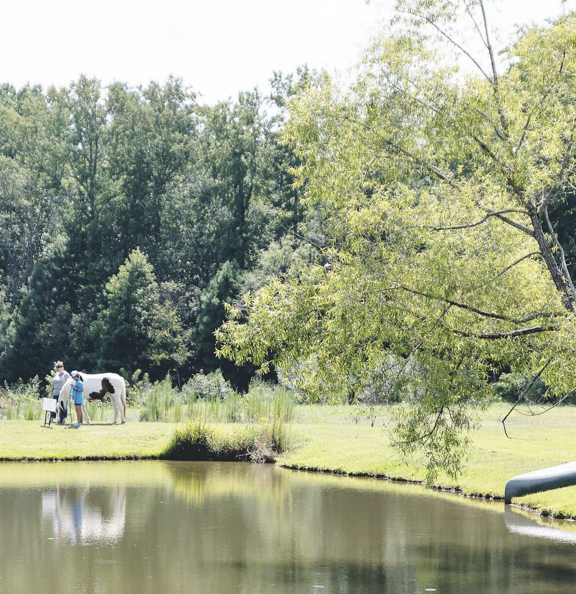Child, adult and horse beside a pond overhung by a weeping willow tree