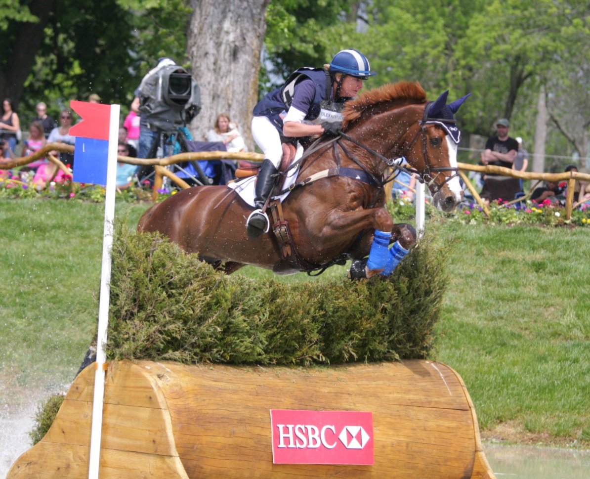 Horse jumping at a competition