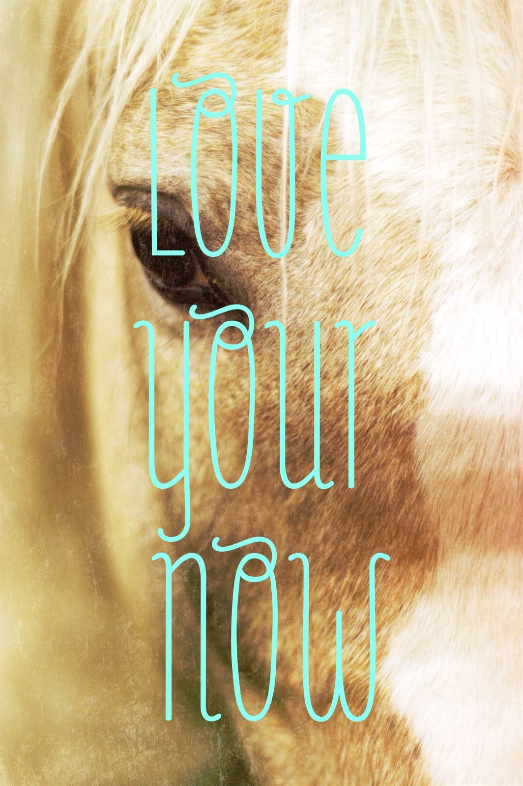 "Love Your Now" in teal letters over the background of a close up of a horse's face