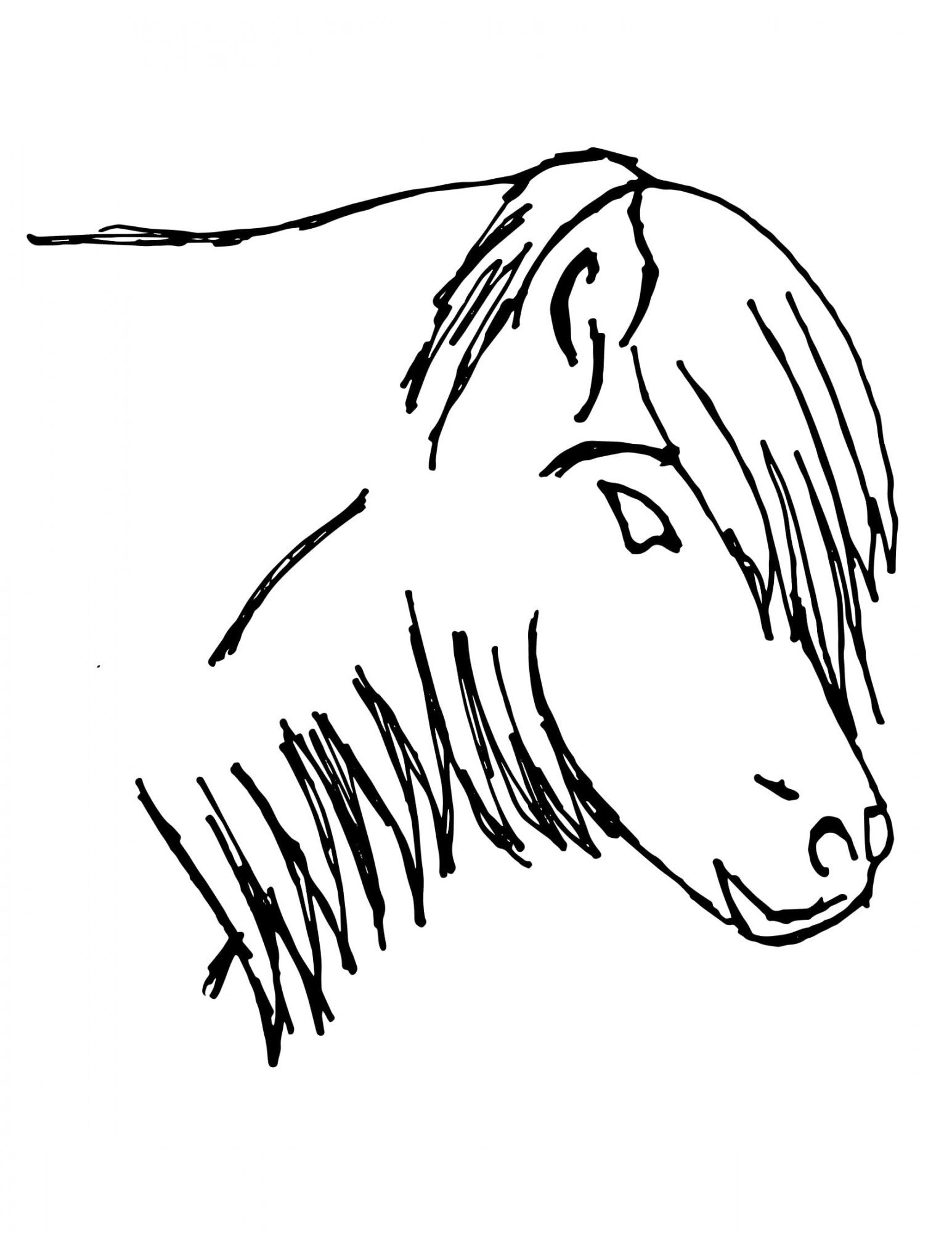 Horse "Maple" - black and white outline for coloring