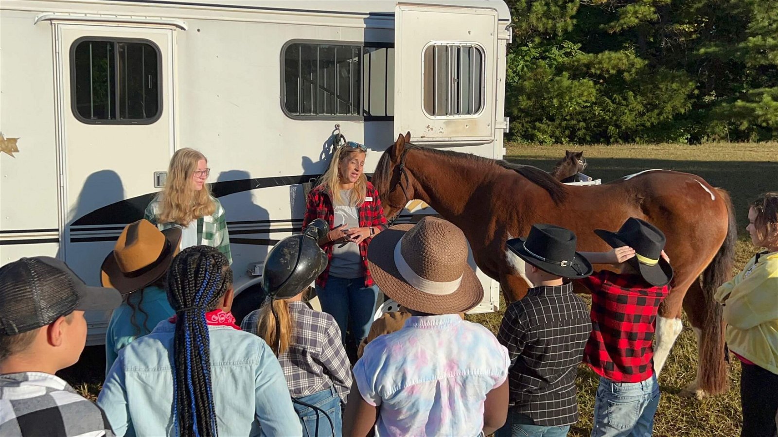 Children looking at horse