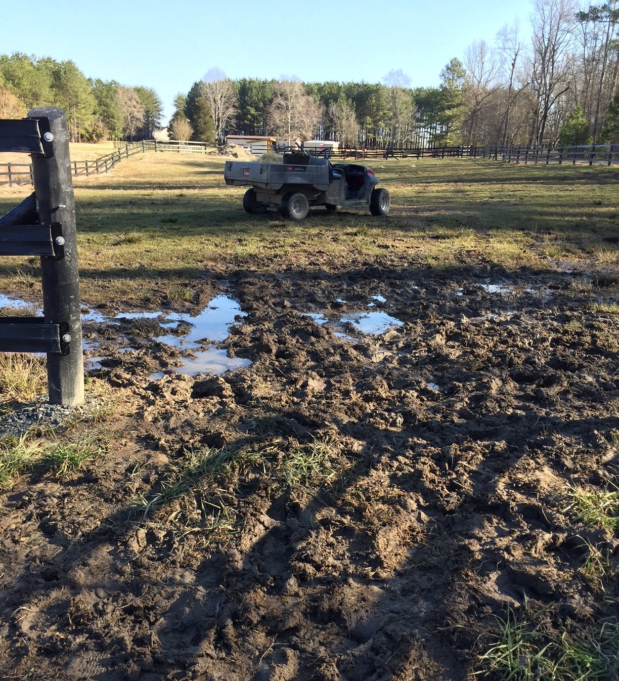 Mud and tire tracks through a gate to a pasture