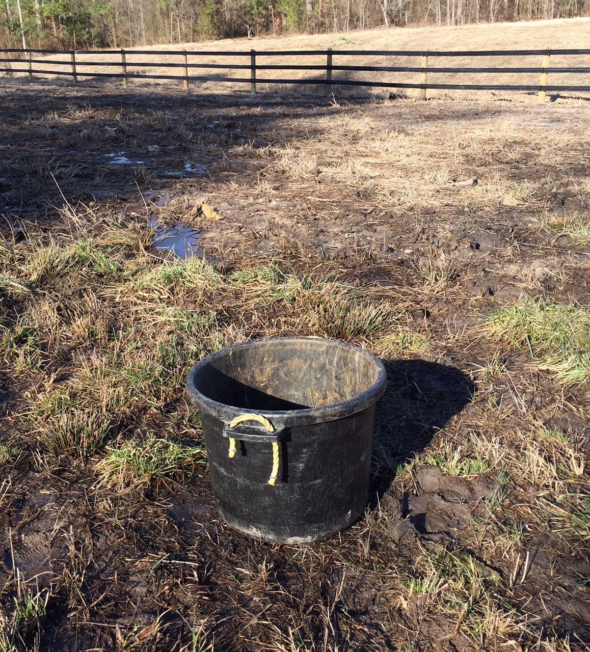 Bucket in a muddy horse pasture