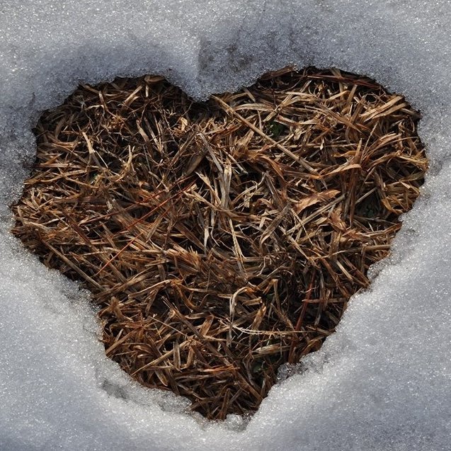 Melting snow in the shape of a heart