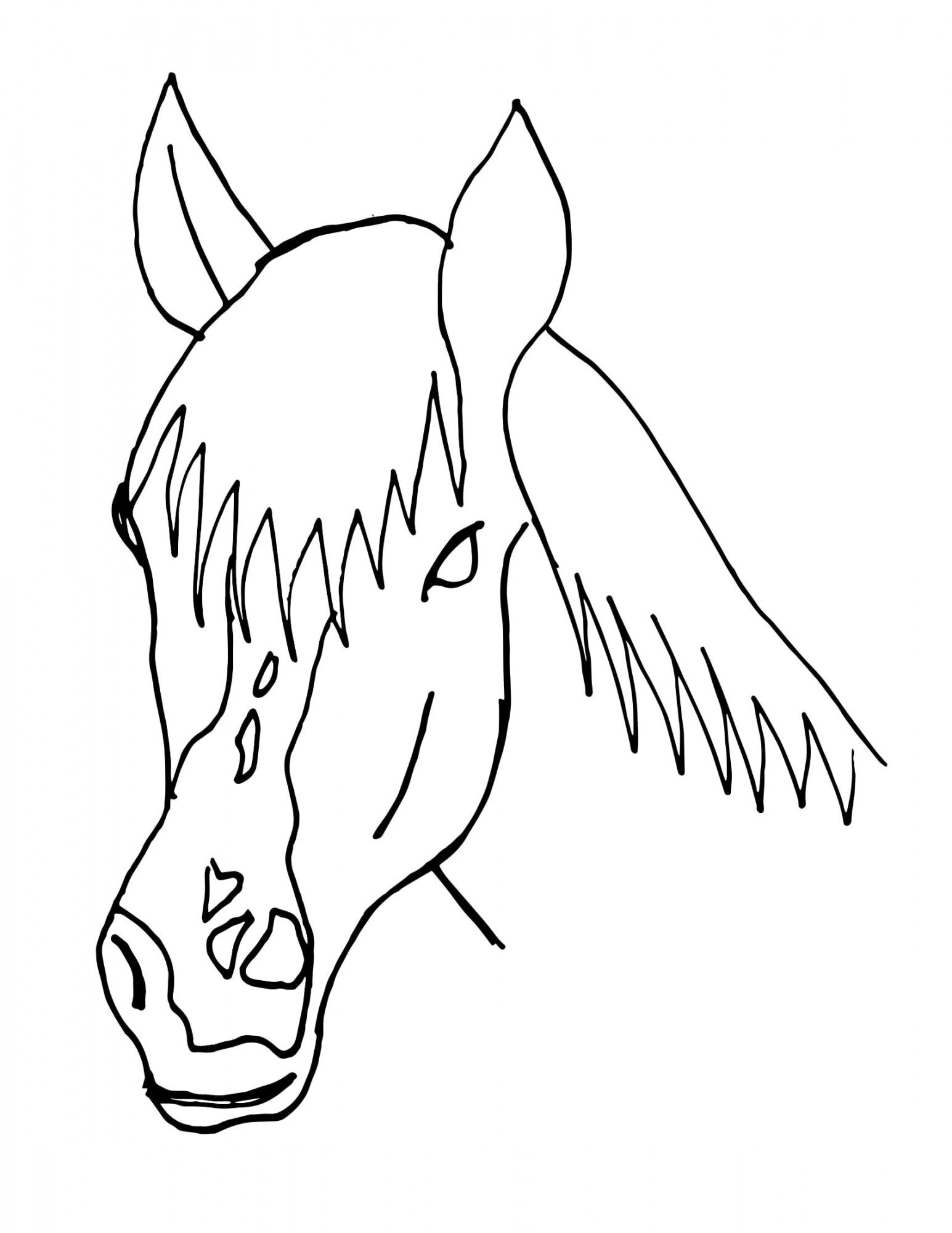 Horse "Princess" - black and white ouline for coloring