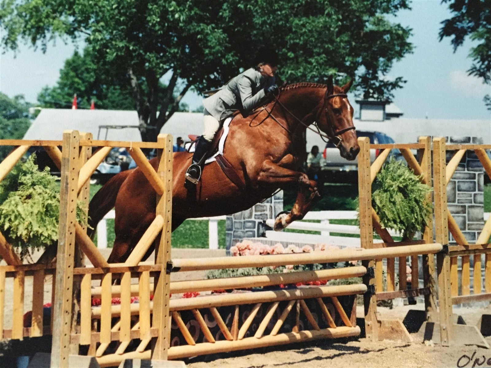 Horse jumping at competition